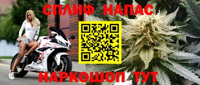 МДПВ Гагарин