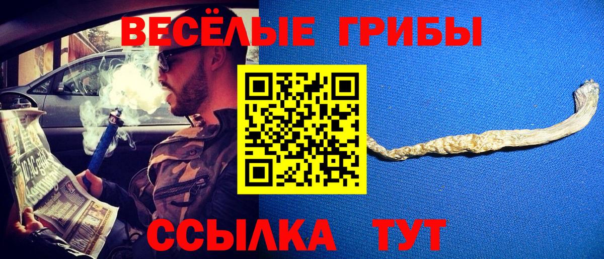 Назарово  Псилоцибиновые грибы Magic Shrooms  Вход с VPN 
